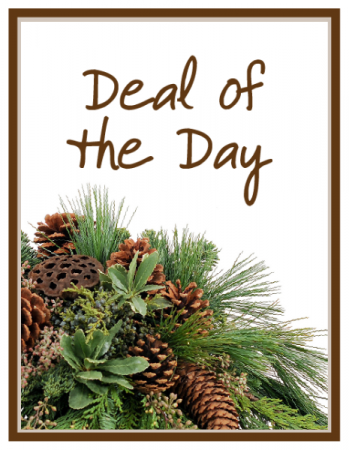 Deal of the Day - Winter Arrangement