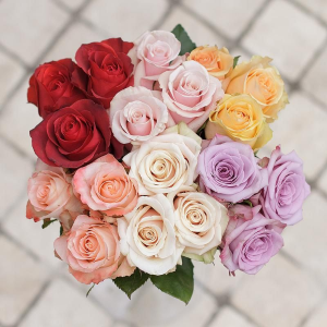 DEAL OF THE WEEK - Dozen of roses in a clear vase in Winter Park, FL | ROSEMARY'S FLORAL & EVENTS DEAL OF THE WEEK - Dozen of roses in a clear vase in Winter Park, FL | ROSEMARY'S FLORAL & EVENTS