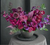 Craving Purple  
