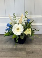 December Birth Month Arrangement  in Bluffton, South Carolina | BERKELEY FLOWERS & GIFTS