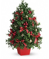 Deck the Halls Boxwood Tree Fresh Floral