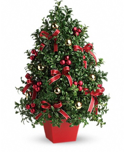 Deck the Halls Boxwood Tree Fresh Floral