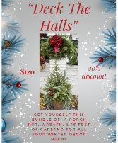 "Deck the Halls" plant bundle 