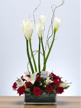 “Declaración de Amor” Valentine 2026