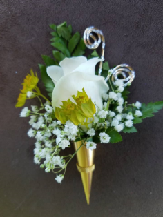 Category Image