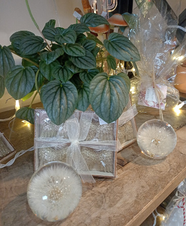Angel Ornaments or  Dandelion Crystal Ball  in Glastonbury, CT | THE FLOWER DISTRICT