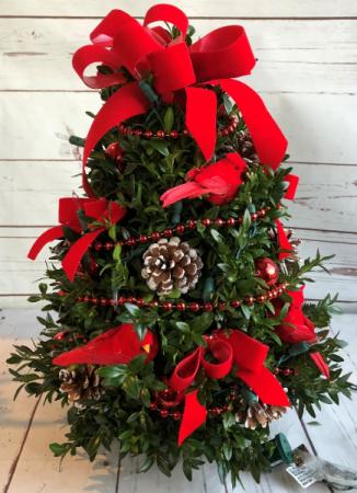 Decorated Boxwood Tree (Cardinal) Can be shipped local & UPS Starting 11/28/2022
