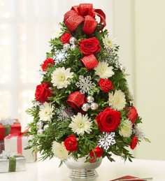 Category Image