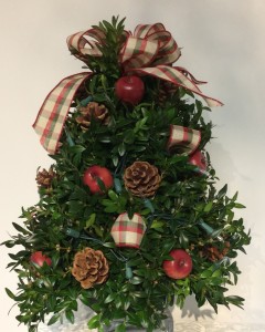 Decorated Boxwood Tree (Country Red Apple)