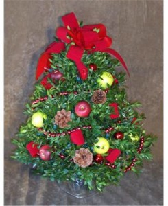  Red & Green Apple Decorated Boxwood Tree 