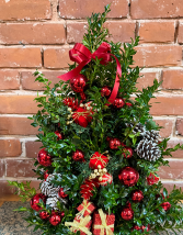 Decorated Christmas Boxwood Tree 