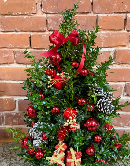 Decorated Christmas Boxwood Tree 