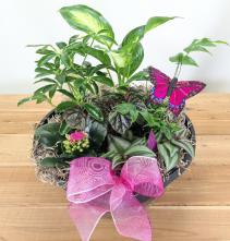 Decorated Houseplant Garden Houseplant arrangement 