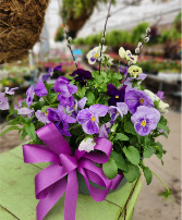 Decorated Pansy Bowl 