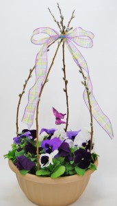 Pussy Willow Pansy Bowl Flowering Annuals Container