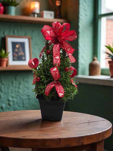 Decorated Rosemary Tree  in Culpeper, VA | ENDLESS CREATIONS FLOWERS AND GIFTS