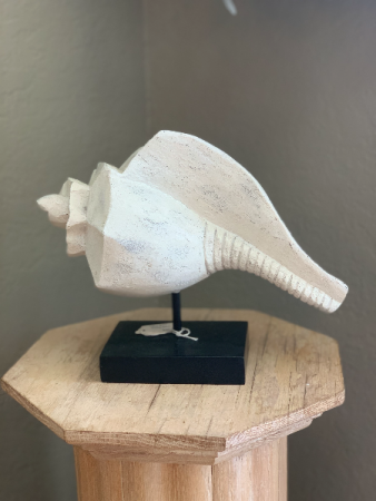 Decorative Shell Large Conch Shell
