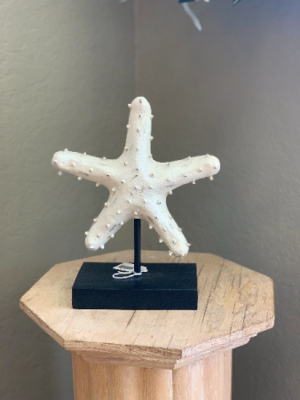 Decorative Starfish Starfish Decor