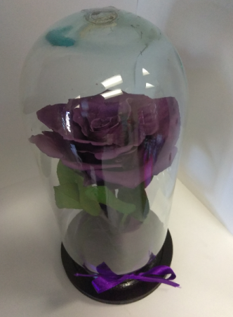 Deep Purple Enchanted Rose Rose