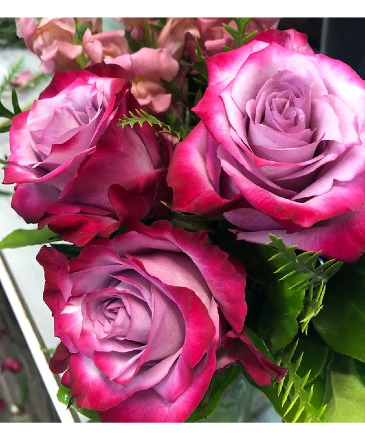 Deep Purple Roses  Cello Wrap or Vase Arrangement in Port Stanley, ON | Flowers By Rosita