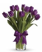 Deep Purple Tulips Tulips Vased