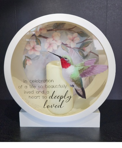 Deeply Loved (Hummingbird)
