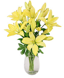 DEL SOL Lily Bouquet