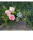 Delicate Countryside Succulent & Rose Box  Fresh cut flowers in a lined wooden box