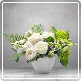 Delicate Pearls - Large 