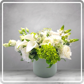 DELICATE PEARLS - MEDIUM 