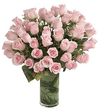 DELIGHTED PINK ROSES 36 PINK ROSES
