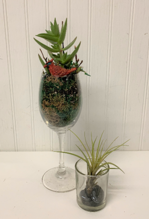 Delightful Bird Succulents/ set of 2