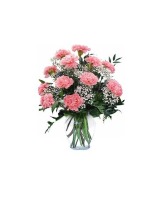 DELIGHTFUL CARNATIONS 