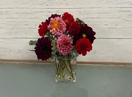 Delightful Dahlias Vase Arrangement