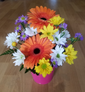 Delightful Daisies Fresh arrangement