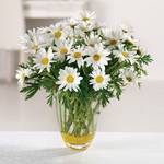 DELIGHTFUL DAISIES Vase arrangement