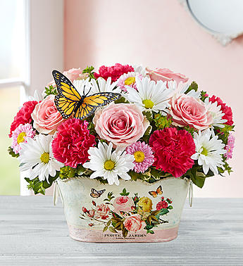 Delightful Day Arrangement