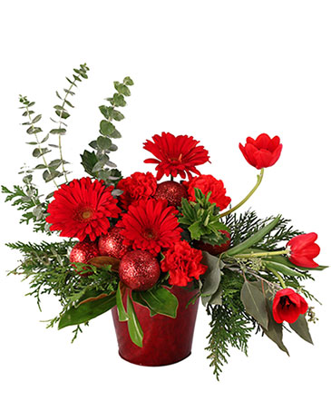 Delightful Red Dream Christmas Arrangement in Galway, NY | Sweet Briar Flower Shop
