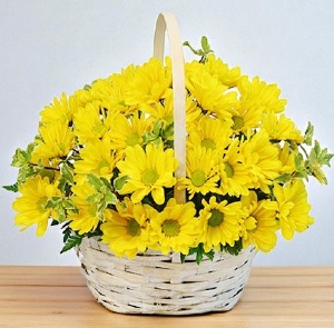 Delightful Smiles Basket Of Daisies