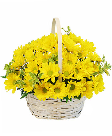 Delightful Smiles Basket of Daisies in Madill, OK | Flower Basket FLORAL DESIGN & GIFTS