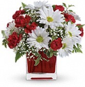 Delightfully Daisey vase arrangement
