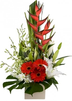 DELILAH DREAMS ARRANGEMENT in Bethesda, MD | Ariel Bethesda Florist & Gift Baskets DELILAH DREAMS ARRANGEMENT in Bethesda, MD | Ariel Bethesda Florist & Gift Baskets