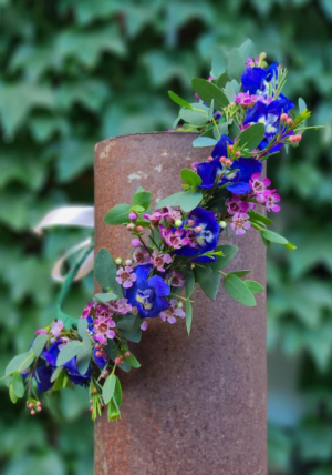 Delphinium and Wax  Flower Crown