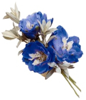 DELPHINIUM BOUTONNIERE