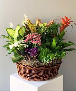 Deluxe Blooming Basket 