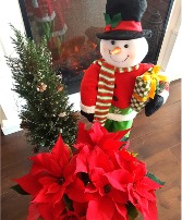 LOCAL CHRISTMAS POINSETTIAS Medium size Red colour only