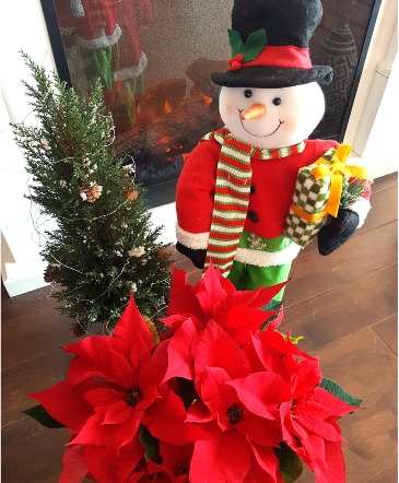 LOCAL POINSETTIAS  Red only in Halifax, NS | Twisted Willow