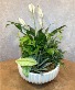 Deluxe Dish Garden 