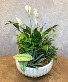 Deluxe Dish Garden 