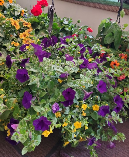 Hanging Outdoor Basket